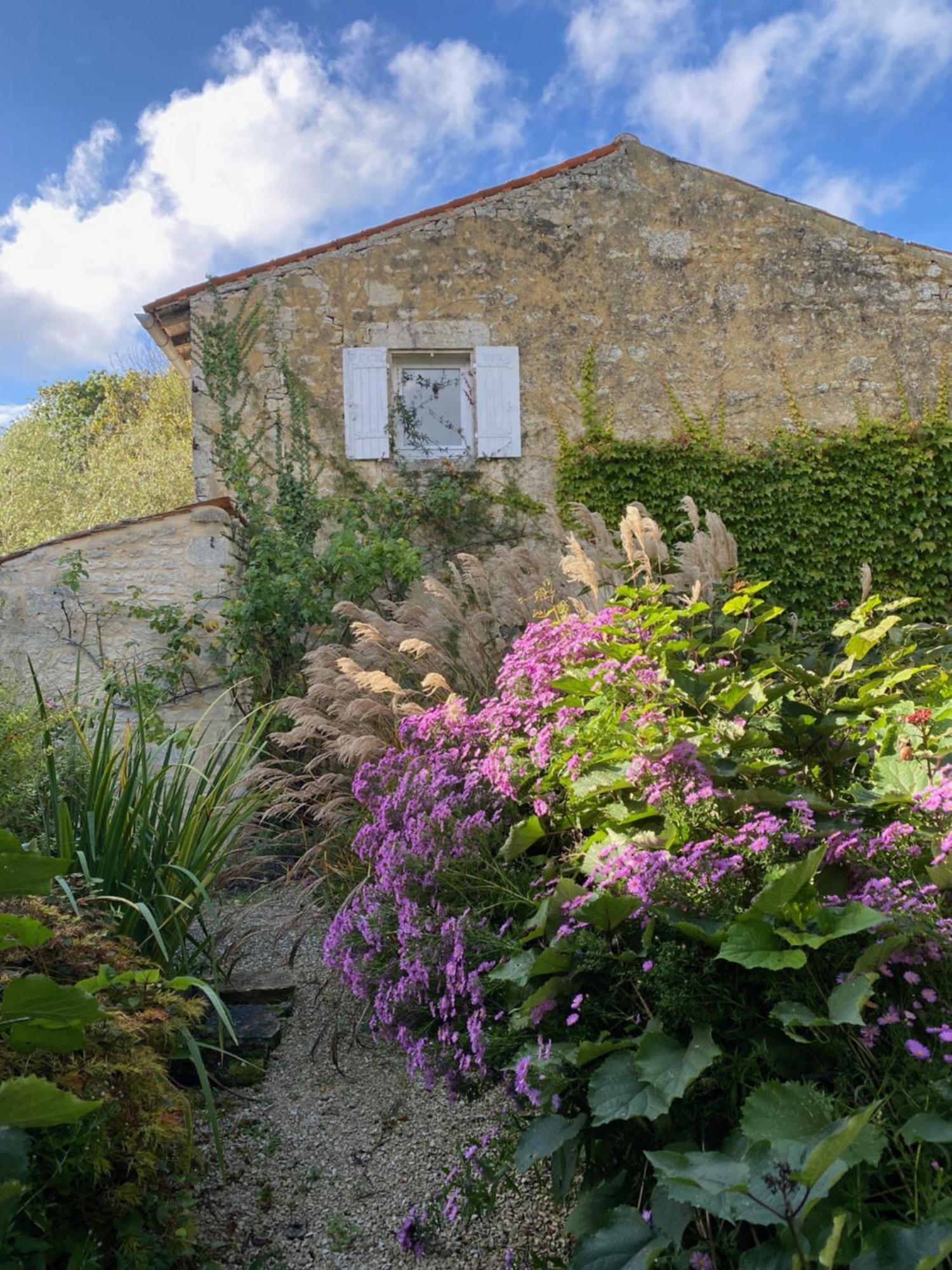 Aux Agapanthes, Chambres D'Hotes Charentaises De Charme Avec Piscine Aumagne Buitenkant foto